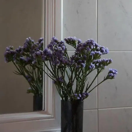 Fisilanis Beachfront 2*