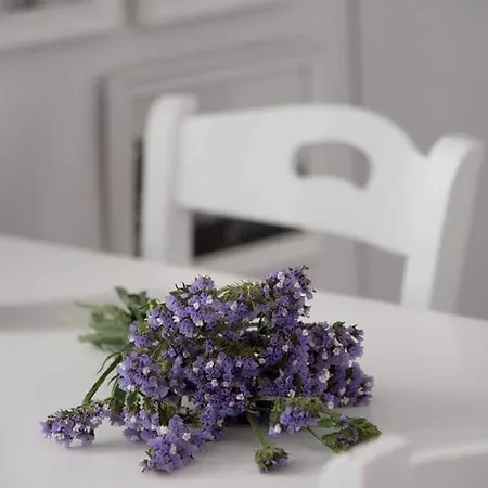 Fisilanis Beachfront Hotel