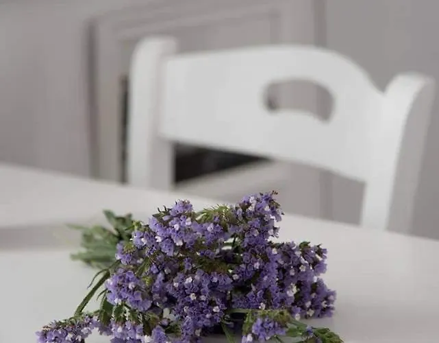 Fisilanis Beachfront Ξενοδοχείο