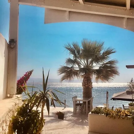 Ξενοδοχείο φυσιλάνης Λογαράς