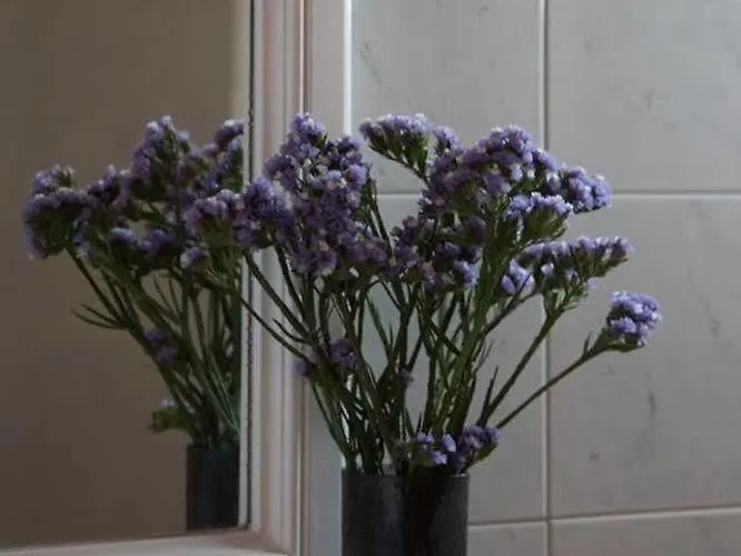 Fisilanis Beachfront 2*